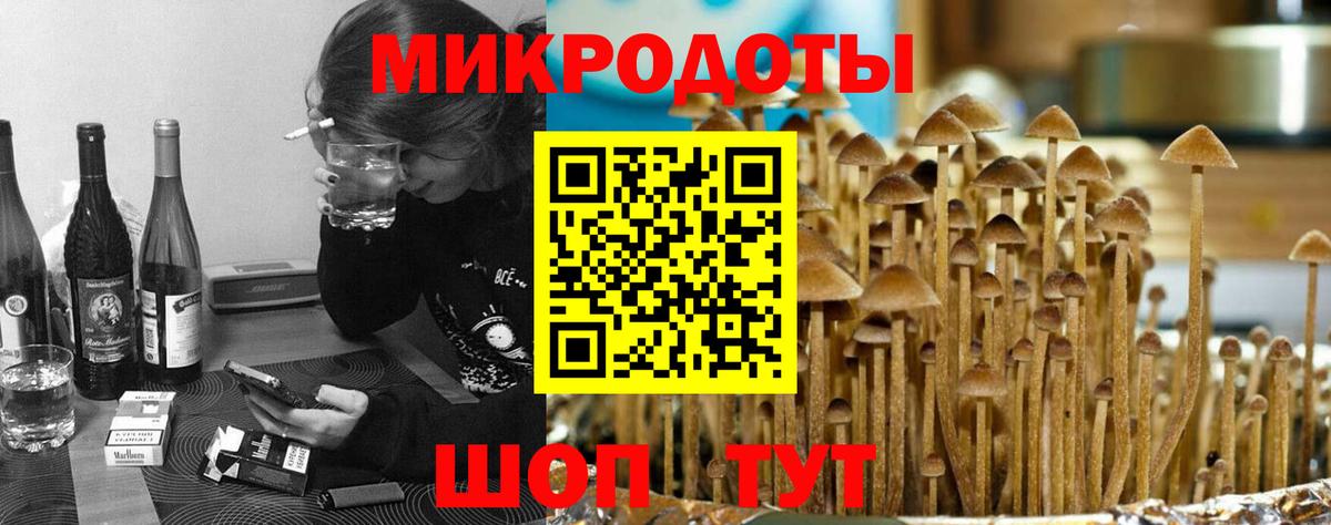 Псилоцибиновые грибы Magic Shrooms  Галлюциногенные грибы GOLDEN TEACHER  Советская Гавань  Вход с VPN 