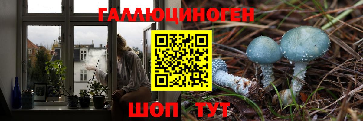 Галлюциногенные грибы ЛСД Советская Гавань